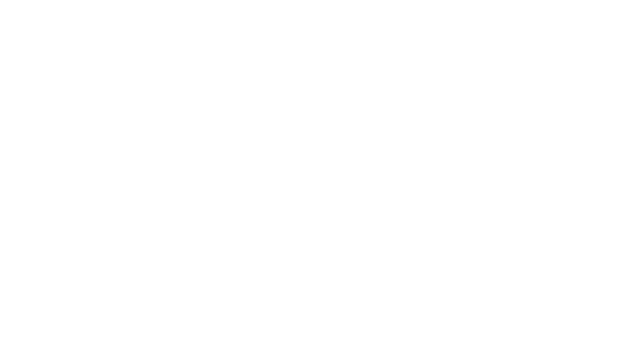 Western Flyer Xpress logo